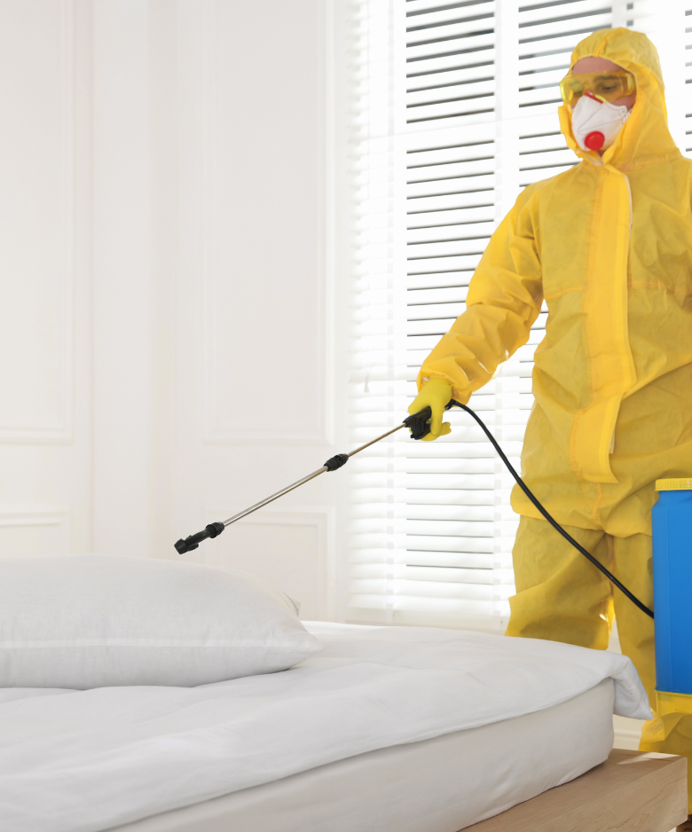 Professional Pest Control Team in Newton